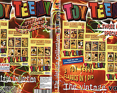 Toy Vest-pocket-sized The vintage Vol.1 Aggregation