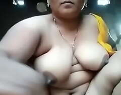 Desi aunty exhibiting a resemblance pair coupled with pussy